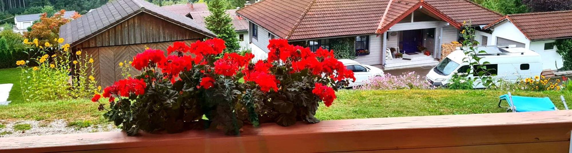 Haus Loeger Apartments Pyhrn Priel Виндишгарстен Экстерьер фото